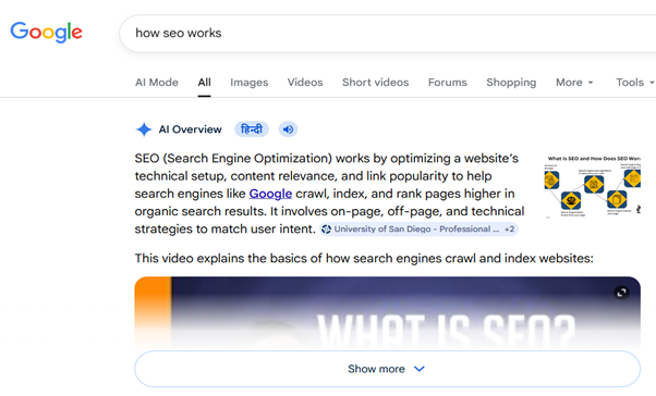 Google AI Overview explaining how SEO works.